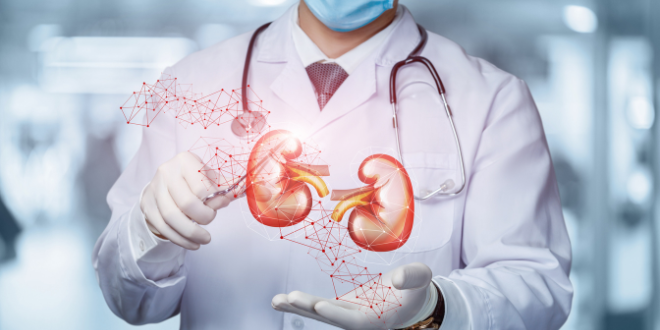 Innovation-Transplantation rénale par donneur vivant : Premier don croisé au CHU de Reims